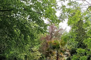 Jardin Jean Rostand image