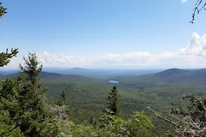 Lr Jones State Forest image