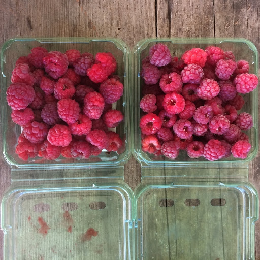 Sublime Organics LLC