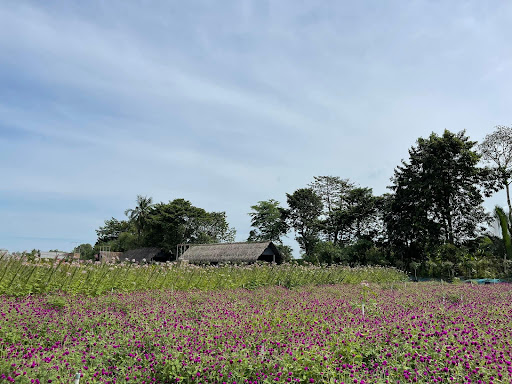 Top 20 cửa hàng cây kiểng Thành phố Phan Thiết Bình Thuận 2022