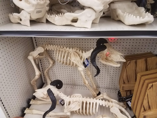 Discount Store «Big Lots», reviews and photos, 4613 Dixie Hwy, Fairfield, OH 45014, USA