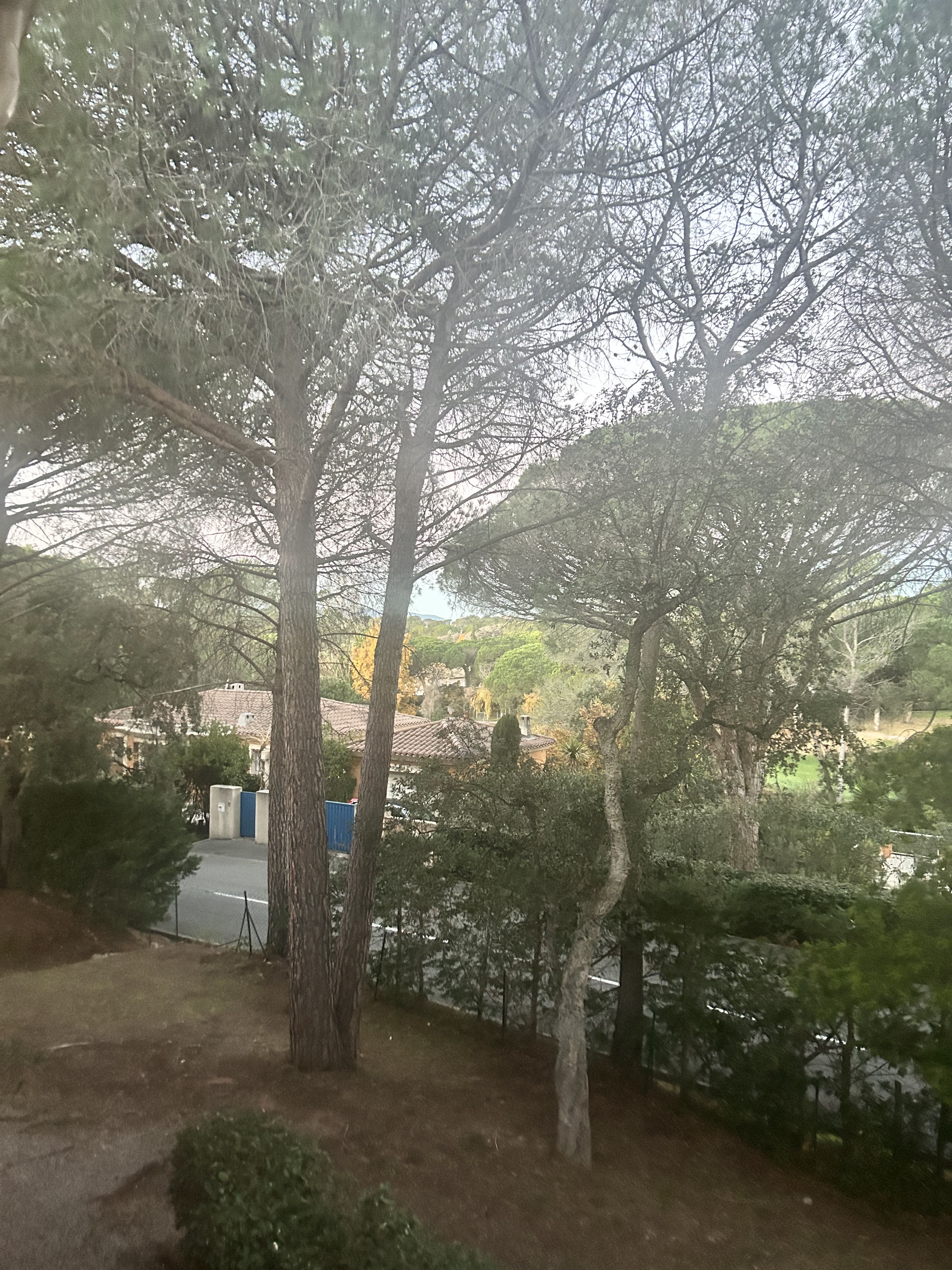 Photo n° 12 de l'avis de Mona.r fait le 16/12/2023 à 10:02