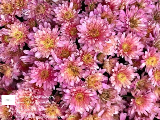 Florist «Cumberland Flowers», reviews and photos, 11817 E Washington St, Indianapolis, IN 46229, USA