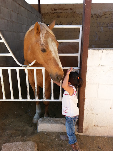 Lienzo Charro Adolfo López Mateos