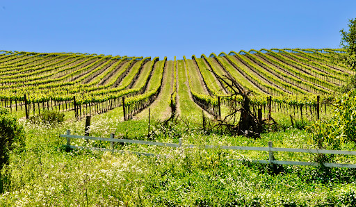 St. Francis Winery & Vineyards image