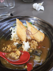 Curry du Restaurant japonais Mécha Uma Arles - chef japonais - n°5