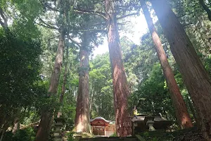 Miurasugi Park image