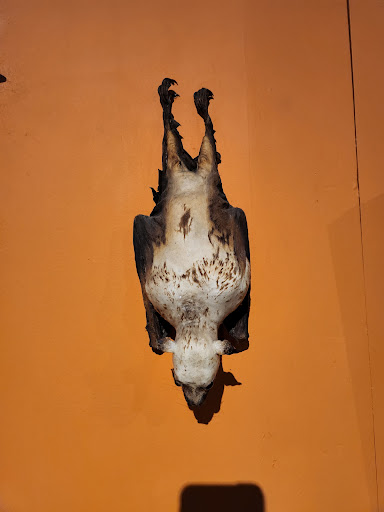 Tourist Attraction «Ghost Train Adventure», reviews and photos, 19 San Marco Ave, St Augustine, FL 32084, USA