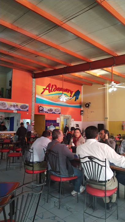 Aldamary Actopan - Mexico-Laredo Km 115, La Loma, 42500 Actopan, Hgo., Mexico