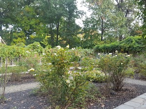 Oakeside Bloomfield Cultural Center - photo 99