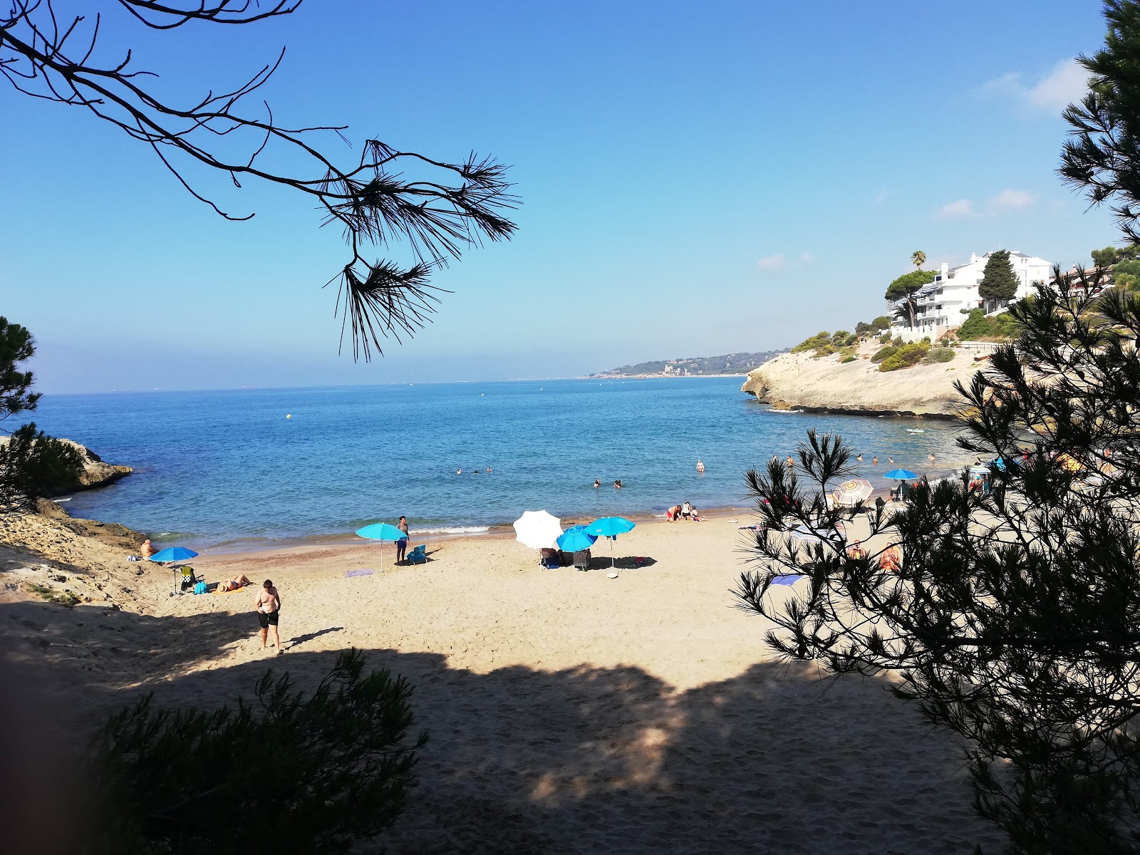 Foto av Cala Canyadell med liten vik