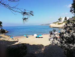 Foto av Cala Canyadell med liten vik