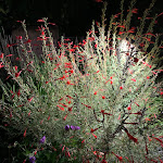 Photo n°23 de l'avis de Lou. fait le 02/09/2022 à 06:47 sur le  Hotel Villa Campomaggio à Radda in Chianti