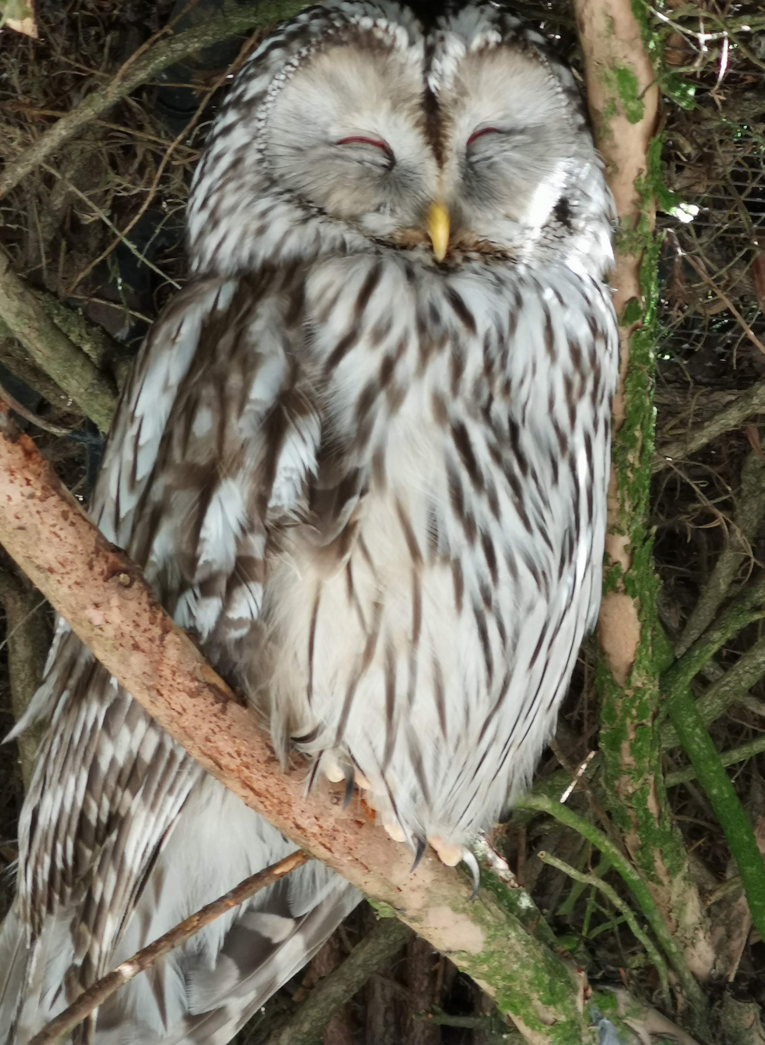 Photo n° 28 de l'avis de Bryan.r fait le 24/04/2018 à 19:19