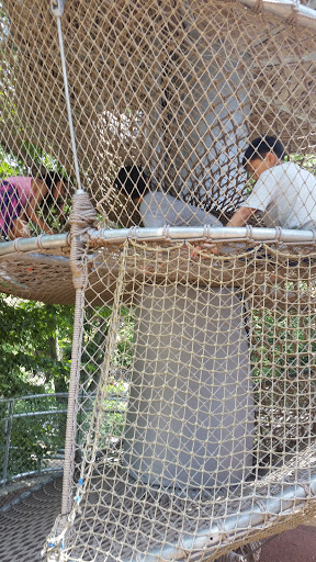 Grocery Store «ACME Markets», reviews and photos, 323 Old York Rd, Jenkintown, PA 19046, USA