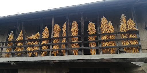 A Casa das Bicas