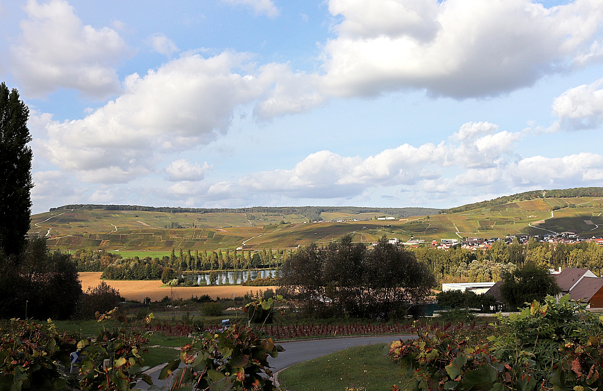 Photo n° 11 de l'avis de pierre.o fait le 05/10/2023 à 12:24