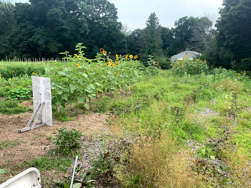 Farm «White Barn Farm», reviews and photos, 458 South St, Wrentham, MA 02093, USA