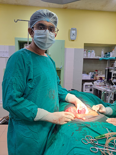 Dr. Pallab Roy | 9+ Years Experience | Gynecology Doctor in Behala | Painless Normal Delivery