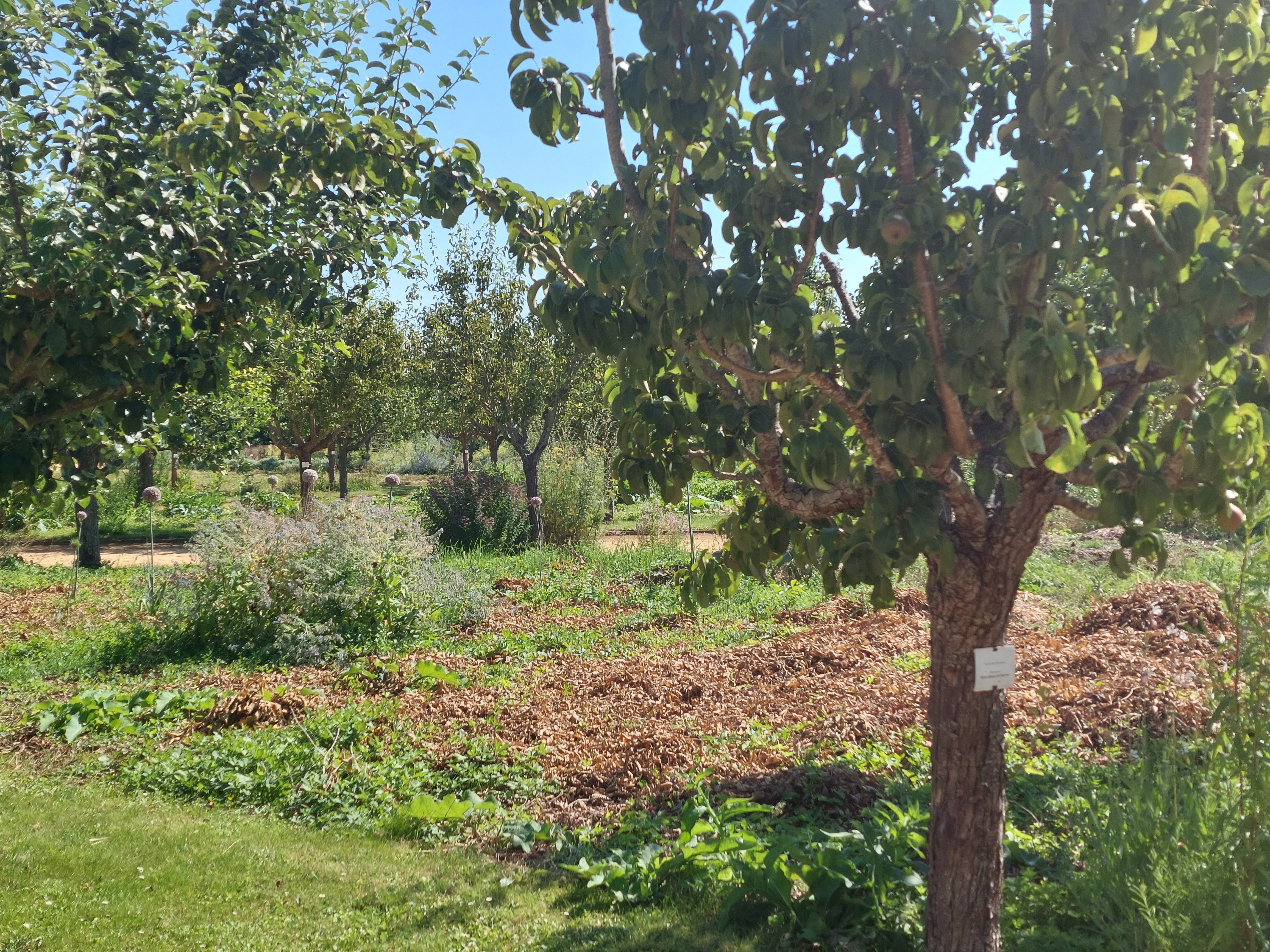 Photo n° 9 de l'avis de Gaetan.i fait le 20/07/2021 à 08:41