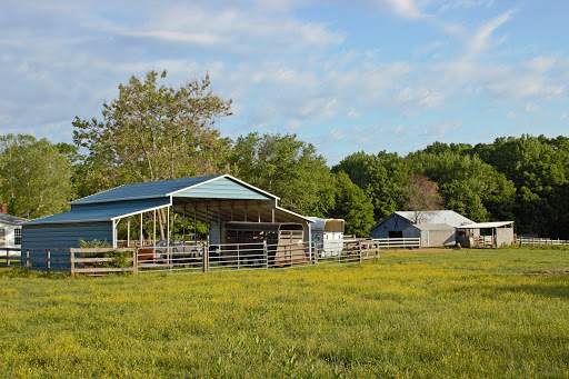 National Park «Wilderness Battlefield», reviews and photos, 35347 Constitution Hwy, Orange, VA 22160, USA