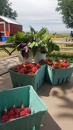 Produce Market «Berry Patch Farms», reviews and photos, 13785 Potomac St, Brighton, CO 80601, USA