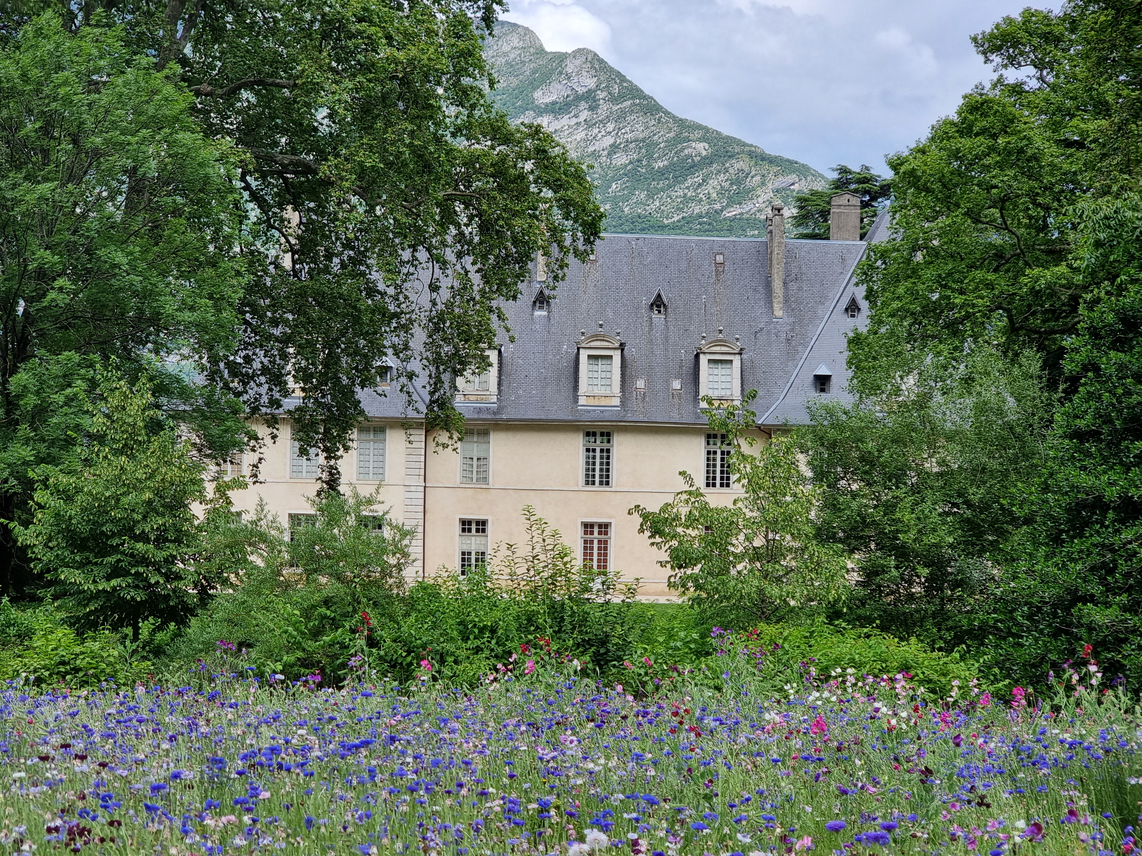 Photo n° 2 de l'avis de Dominique.e fait le 13/06/2023 à 18:12
