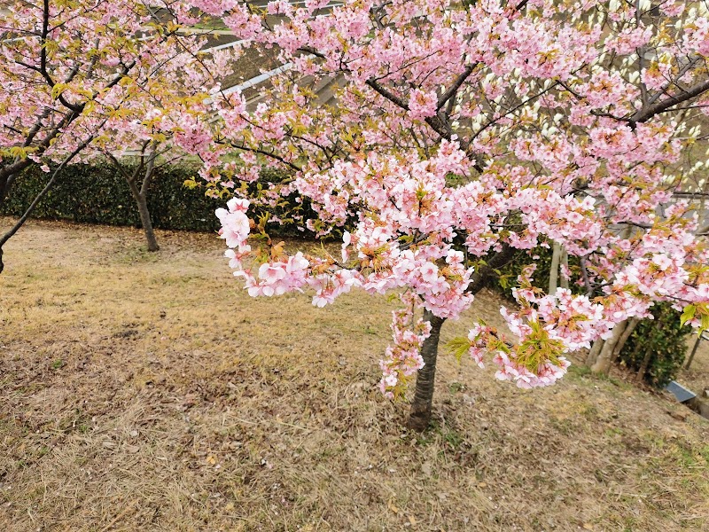 大塚山