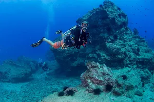 Dive Kauai image