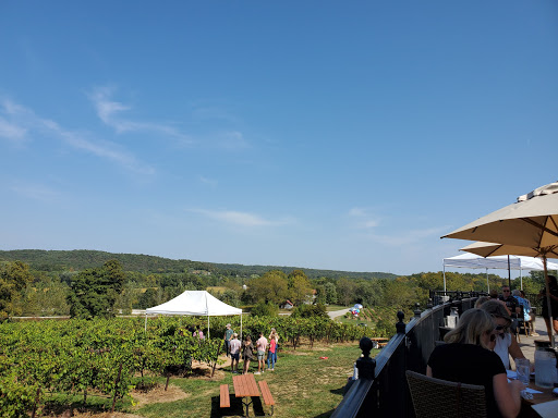 Winery «Chandler Hill Vineyards», reviews and photos, 596 Defiance Rd, Defiance, MO 63341, USA