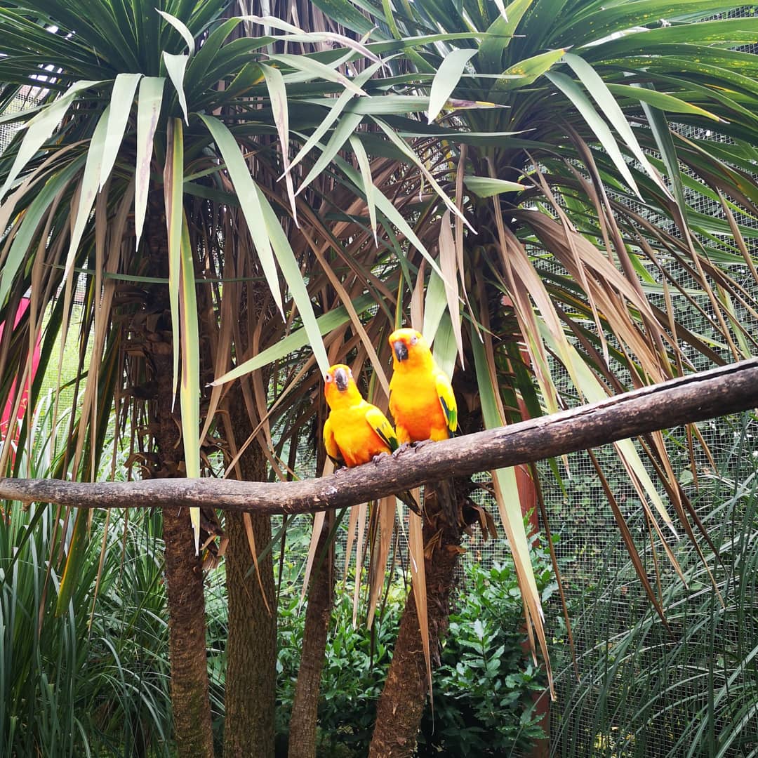 Photo n° 16 de l'avis de Xxx.x fait le 14/08/2020 à 21:01