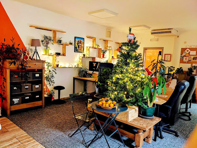 Comentarii opinii despre Coworking Fernelmont