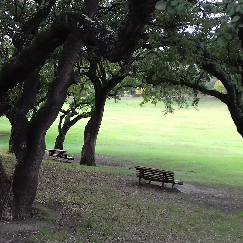 Peace Park