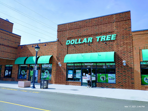 Dollar Store «Dollar Tree», reviews and photos, 324 Towne Square Way, Brentwood, PA 15227, USA