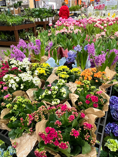 Home Improvement Store «The Home Depot», reviews and photos, 1326 Londontown Blvd, Sykesville, MD 21784, USA