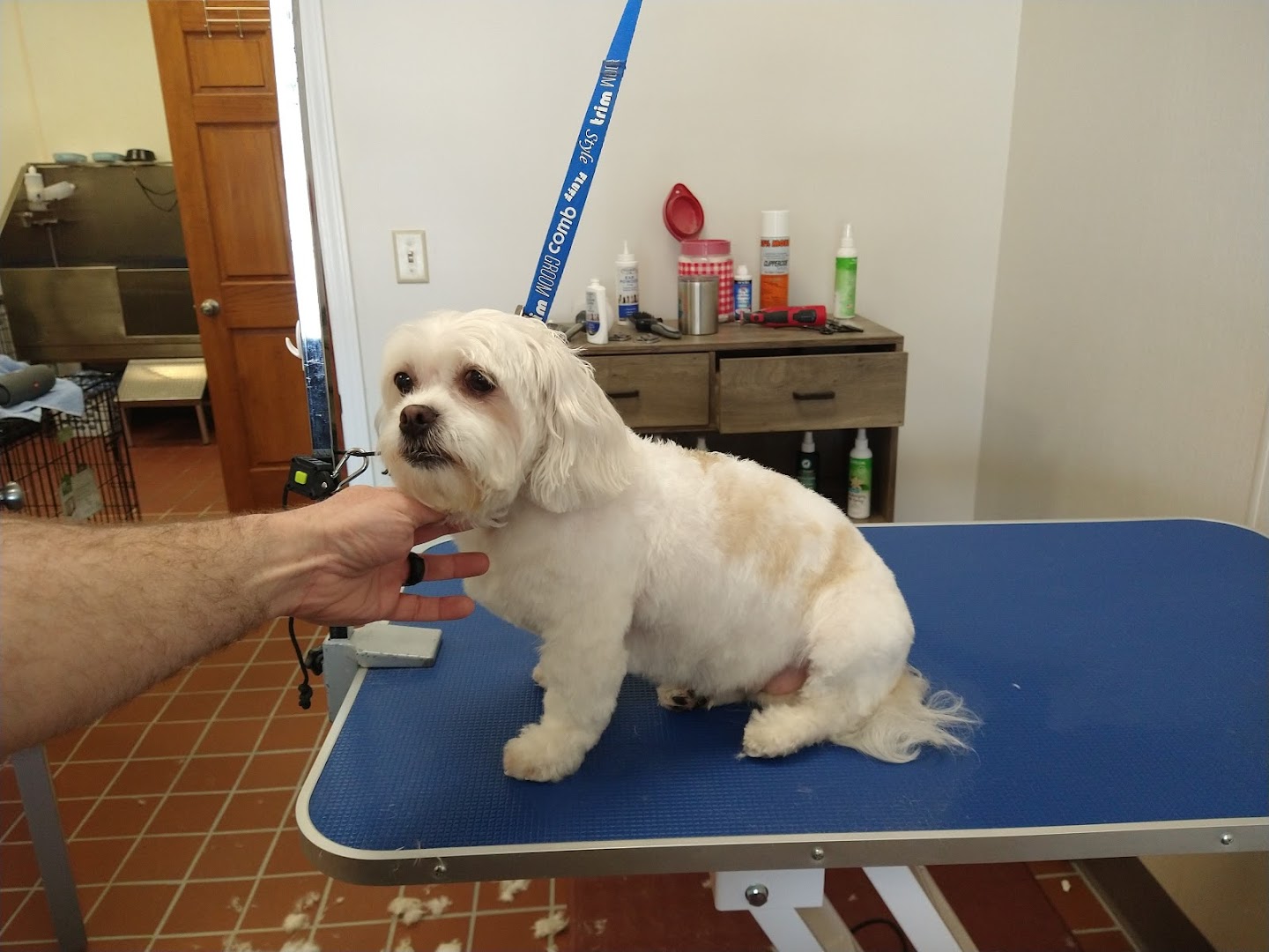 Uncle Carl's Dog Grooming