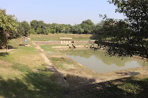 Ramtal (Saubhari Rishi Tapasthali) image
