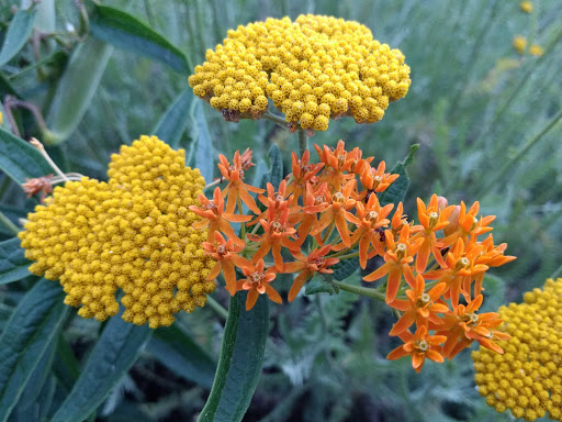 Park «Pioneer Park», reviews and photos, 10505 Deerfield Rd, Montgomery, OH 45242, USA