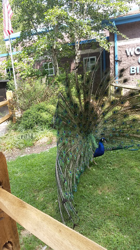 Golf Club «Stone Harbor Golf Club», reviews and photos, 905 U.S. 9, Cape May Court House, NJ 08210, USA