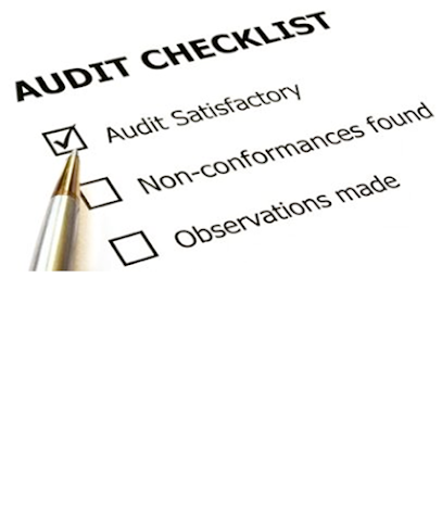 Safety Audit Solutions