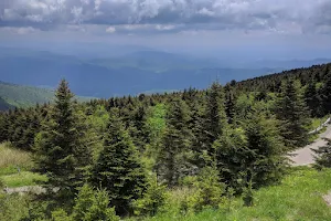 Top of Mt. Mitchell image