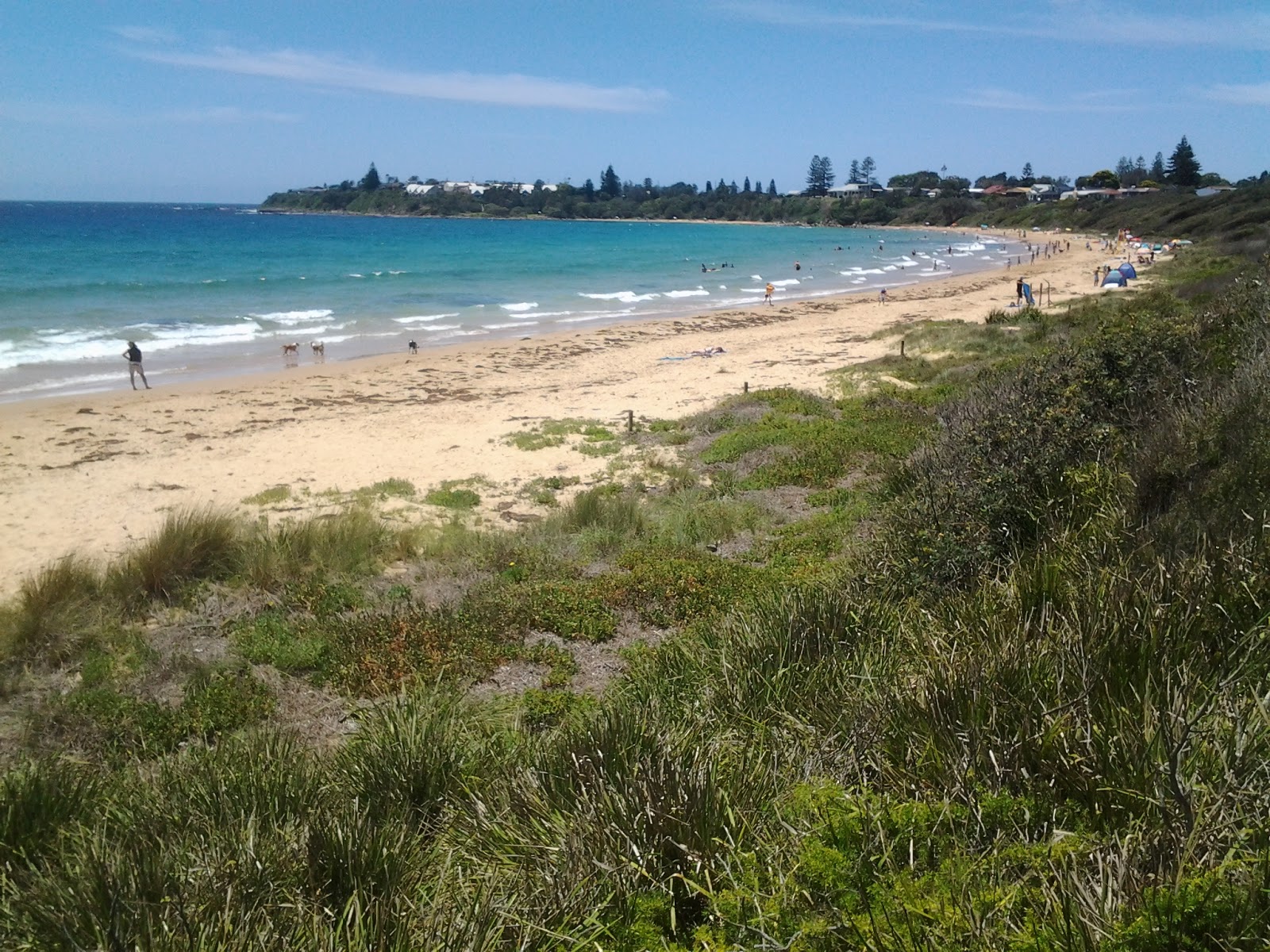Foto de Culburra Beach con arena fina beige superficie