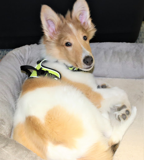 Jeweler «Innsbruck Jewelers», reviews and photos, 2030 Silver Lake Rd NW, New Brighton, MN 55112, USA