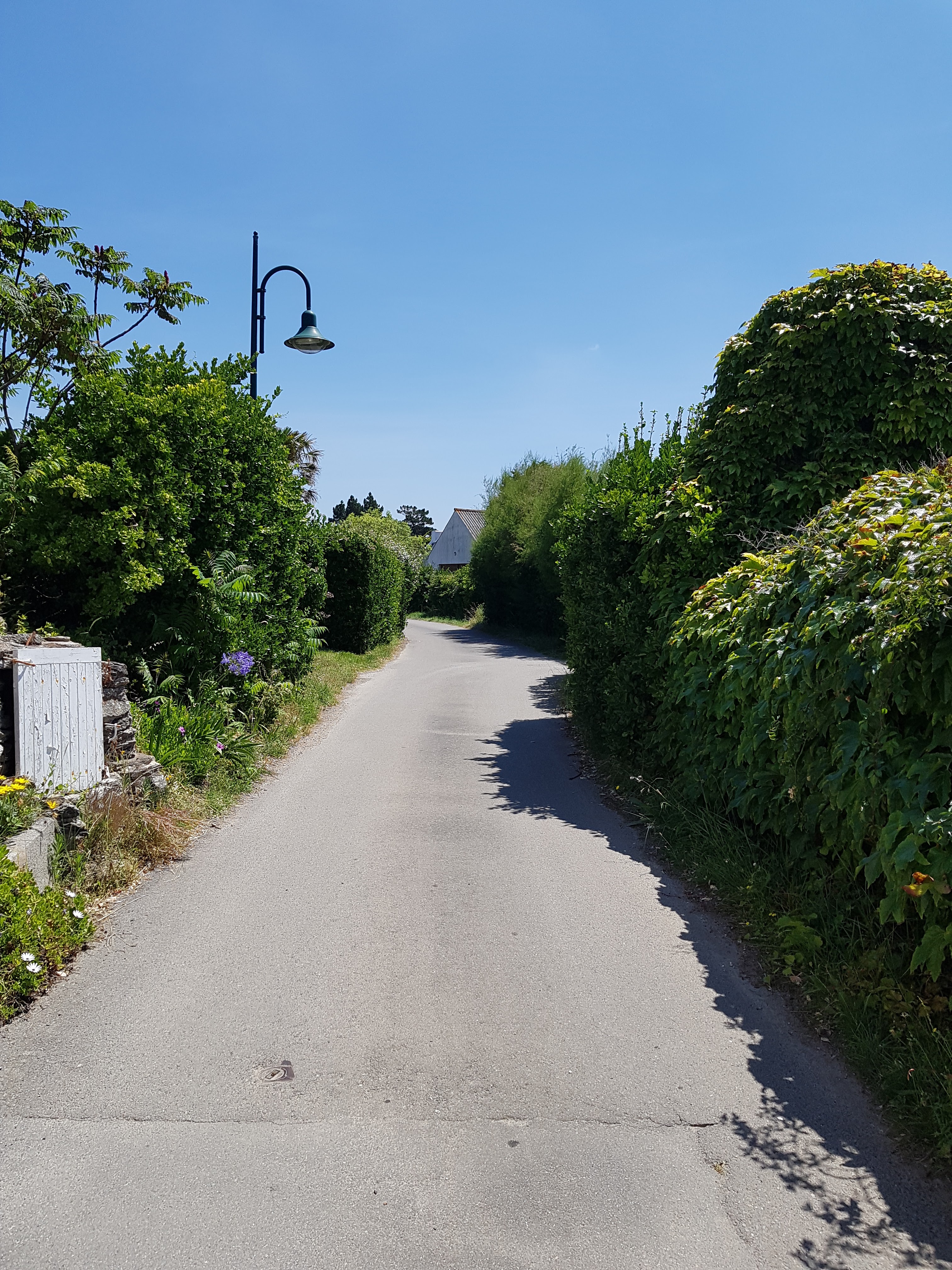 Photo n° 15 de l'avis de FREDERIQUE.a fait le 10/07/2019 à 09:59