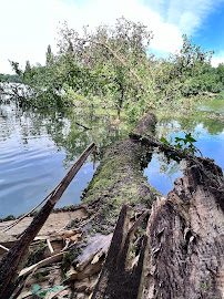 Photos du propriétaire du Restaurant La Pigouille à Coulon - n°17