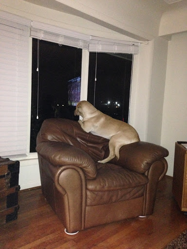 Auto Repair Shop «Ford RD Auto Clinic LLC», reviews and photos, 46460 Ford Rd, Canton, MI 48187, USA