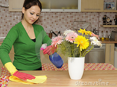 Lovely House Cleaning & Commercial Cleaning in Sun Valley, Nevada