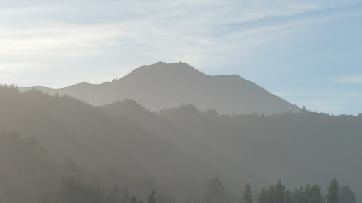 Golf Course «Mill Valley Golf Course», reviews and photos, 280 Buena Vista Ave, Mill Valley, CA 94941, USA