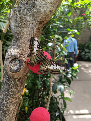 Park «Westminster City Park», reviews and photos, 10455 N Sheridan Blvd, Westminster, CO 80020, USA