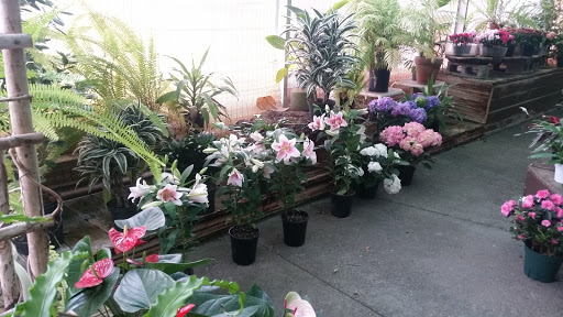 Florist «Grohe Florists», reviews and photos, 1313 McDonald Ave, Santa Rosa, CA 95404, USA